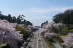 金沢城公園