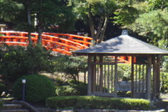 富山城址公園